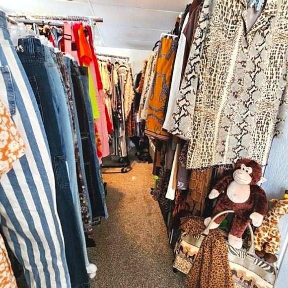 About Sazzle Dazzle✅️FOLLOW LIKE ❤️ Main Listing For Live Show Notifications - Picture 14 of 16